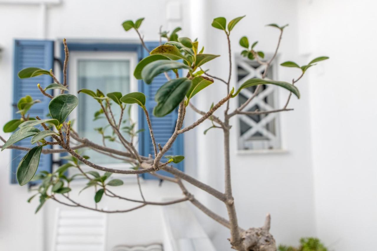 Argiro Tinos Exterior foto